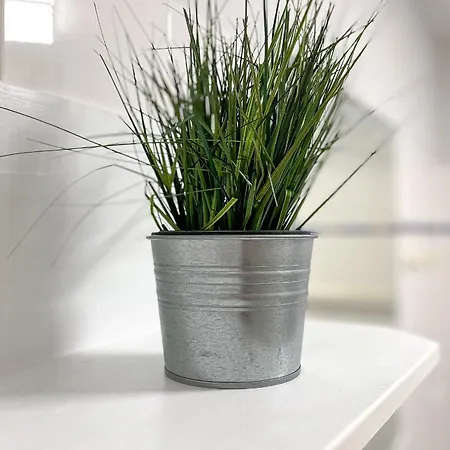 Likedeeler 01 Boltenhagen (Ostseebad)