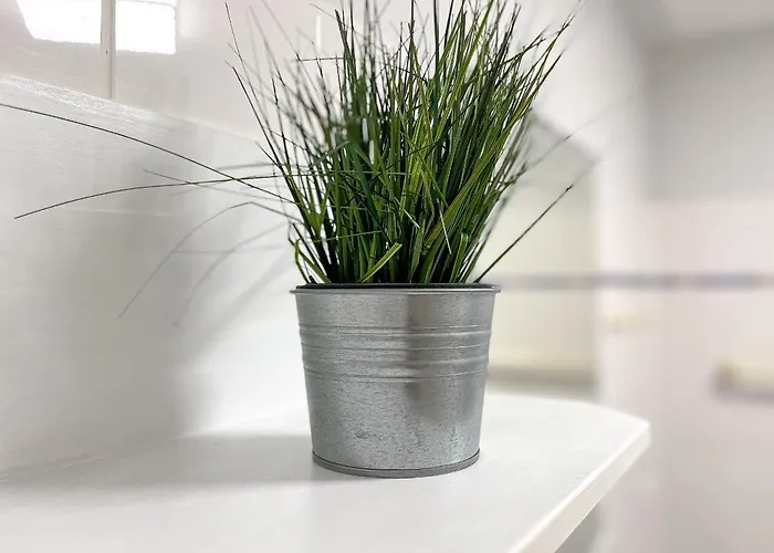 Likedeeler 01 볼텐하겐